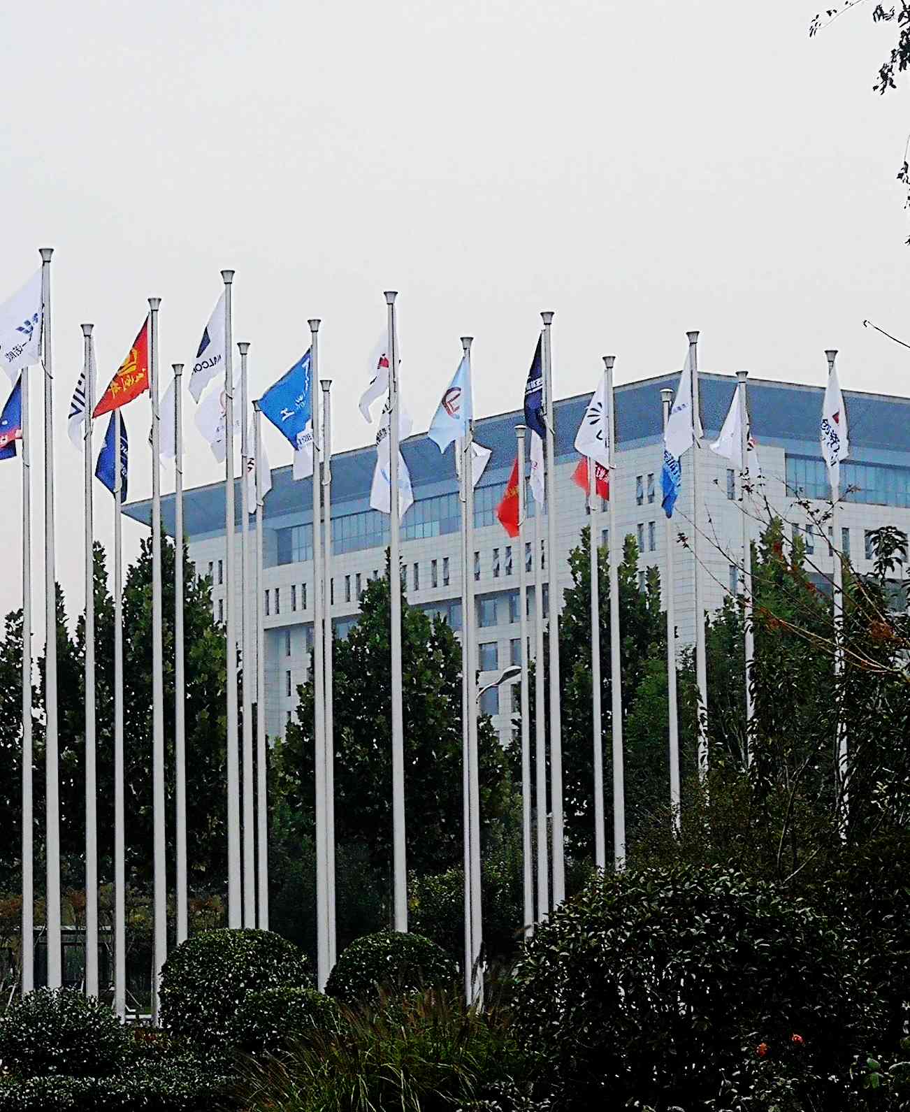 鳳凰涅槃，榮耀淄博